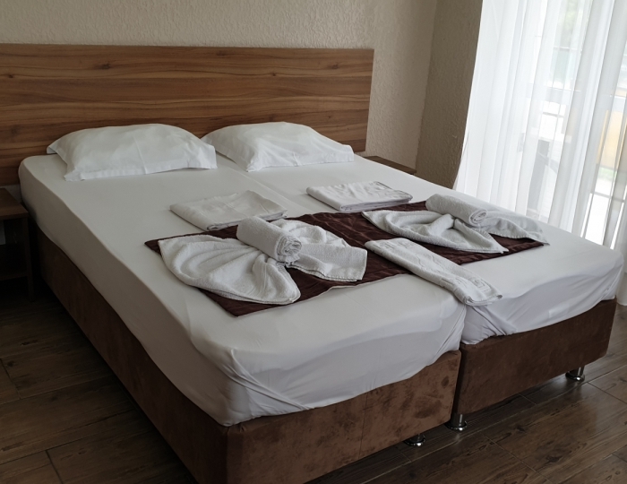 Эконом 2-местный 1-комнатный эконом корпус 1 - Отель «Магнолия» Гагра